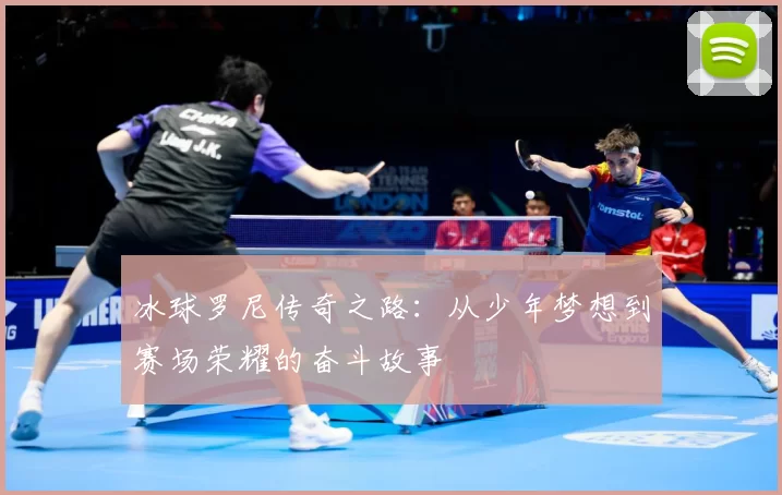 冰球罗尼传奇之路：从少年梦想到赛场荣耀的奋斗故事